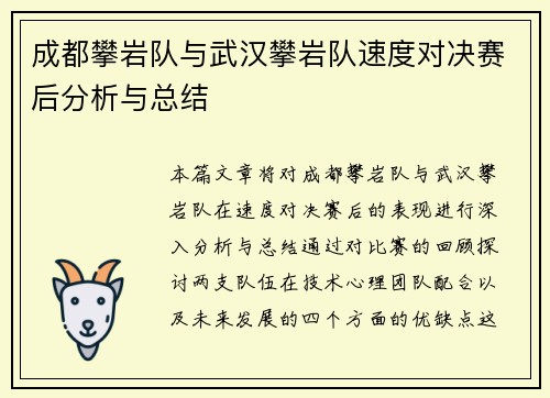 成都攀岩队与武汉攀岩队速度对决赛后分析与总结